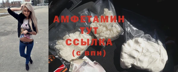 прущий лед Богданович