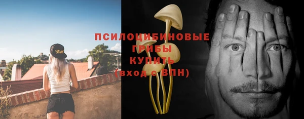 прущие крисы Белоозёрский