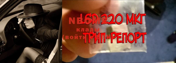 ГАЛЛЮЦИНОГЕННЫЕ ГРИБЫ Белокуриха