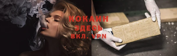 ГАЛЛЮЦИНОГЕННЫЕ ГРИБЫ Белокуриха