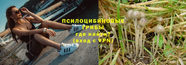 прущие крисы Белоозёрский