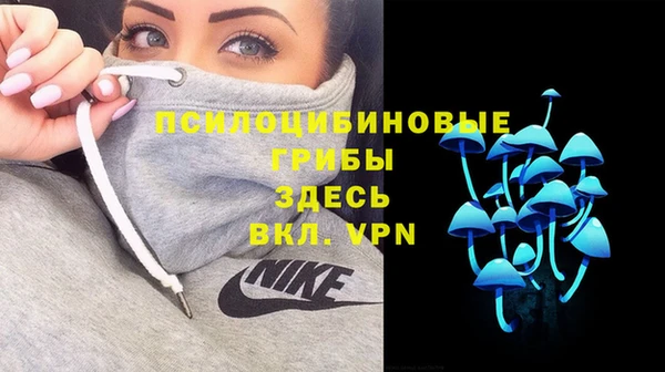 прущий лед Богданович