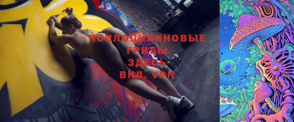 ГАЛЛЮЦИНОГЕННЫЕ ГРИБЫ Белокуриха