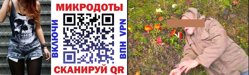 Галлюциногенные грибы мицелий  Богданович 